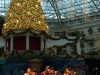 Thanksgiving performance at Orlando's Gaylord Palms Resort